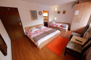 Отель Rooms Ribnikar  Постойна